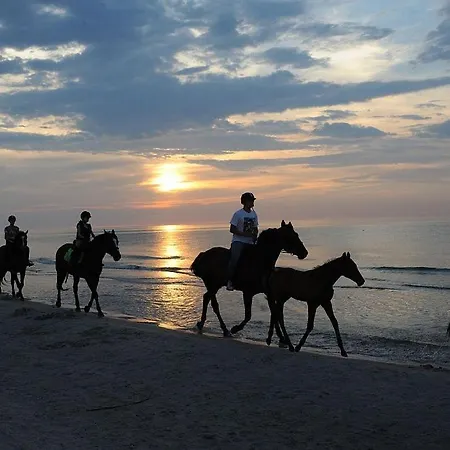 Sloneczna Polana Julek Hébergement de vacances *