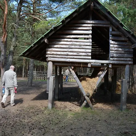 Sloneczna Polana Julek Hébergement de vacances *